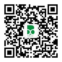 Official account QR code